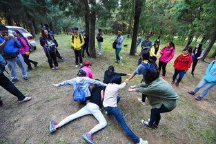 无码户外在线观看,一场视觉与心灵的冒险之旅